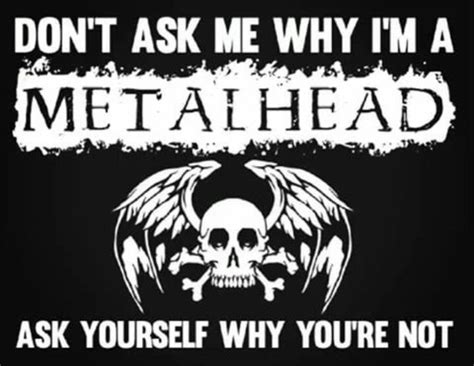 tin box metal quotes|Funny Metal Quotes .